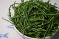 Marsh Samphire or Common Glasswort Salicornia europaea Royalty Free Stock Photo