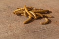 Edible mealworms Royalty Free Stock Photo