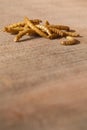 Edible mealworms Royalty Free Stock Photo