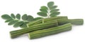 Edible moringa with fresh leaves