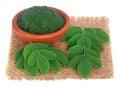 Edible moringa leaves with ground paste