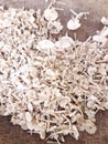 Edible mushroom cultivation is a profitable cottage industry