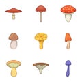 Edible mushroom icons set, cartoon style