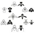 Orchid seven species vector icon in two stlye