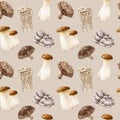 Edible mushroom seamless pattern. Watercolor hand painted illustration. Enoki, shiitake, king trumpet oyster mushroom