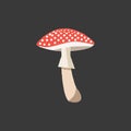 A cute little red-colored mushroom vector or color illustration