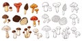 Edible mushrooms collection in line art and cartoon style. Hand drawn food drawings. Forest plants sketches. Perfect for Royalty Free Stock Photo