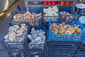 Mushrooms Market Stall