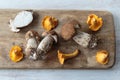 Edible mushrooms Royalty Free Stock Photo