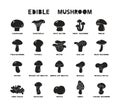 Edible mushrooms with name, black silhouette icons set. Vector illustration of champignon, boletus, porcini, shiitake, truffle,