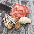 Edible mushrooms Royalty Free Stock Photo