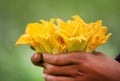 Edible pumpkin flower