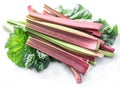 Edible rhubarb stalks on the white background.