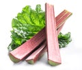 Edible rhubarb stalks on the white background