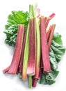 Edible rhubarb stalks on the white background Royalty Free Stock Photo