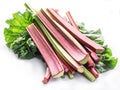 Edible rhubarb stalks on the white background Royalty Free Stock Photo