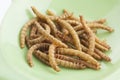 Edible roasted mealworms Royalty Free Stock Photo