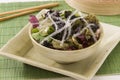 Edible seaweed salad. Royalty Free Stock Photo