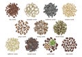 edible seeds hand drawn collection Royalty Free Stock Photo