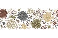 Edible seeds hand drawn seamless border Royalty Free Stock Photo