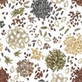 Edible seeds hand drawn seamless pattern Royalty Free Stock Photo