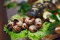 Edible snails cooked and served in haute cuisine restaurant for dinner. Exotic escargot snail baked for wine party Royalty Free Stock Photo