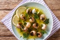 Edible snails, escalgot with butter, herbs and garlic close-up o