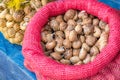 Edible snails in shells. Royalty Free Stock Photo