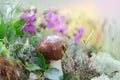 Edible summer mushroom growing on a colorful floral background