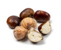 Edible Sweet Chestnuts, Healthy Autumn and Christmas Food Royalty Free Stock Photo