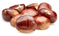 Edible sweet chestnuts isolated on white background Royalty Free Stock Photo