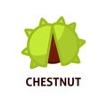 Edible sweet green chestnuts icon