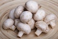 Edible white button or champignon mushrooms