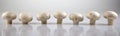 Edible white champignon mushrooms