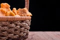 Edible wild mushroom chanterelle in basket Royalty Free Stock Photo