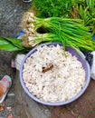 Edible young bamboo shoot (Soibum in Manipuri language) at Ima market Imphal Manipur Northeast India