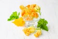 Edible zucchini flowers on white background