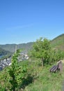 Ediger-Eller,Mosel Valley,Germany