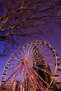 Edinburgh Christmas Lights