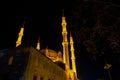 Edirne Selimiye Mosque at Night. Islamic background photo. Royalty Free Stock Photo