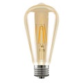 Edison bulb. Decorative vintage light. Realistic