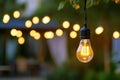 Edison Bulb on a String Light Illuminating a Garden at Dusk, generative ai Royalty Free Stock Photo