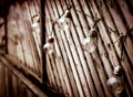 Edison Bulbs on Wood Royalty Free Stock Photo