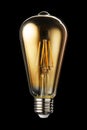 Edison LED filament bulb Royalty Free Stock Photo