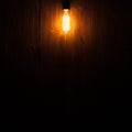 Edison light bulb on wooden background Royalty Free Stock Photo