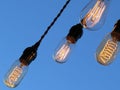 Edison Light Bulbs Royalty Free Stock Photo