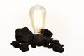 Edison Style Light Bulb In Coal Pile
