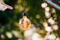 Edisson light bulb lightening and hanging outdoors over green background. Royalty Free Stock Photo