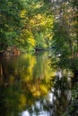 Edisto River near Orangeburg, South Carolina Royalty Free Stock Photo