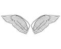 Editable bird wings vector